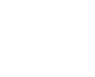 LOTAR Combat — logo officiel